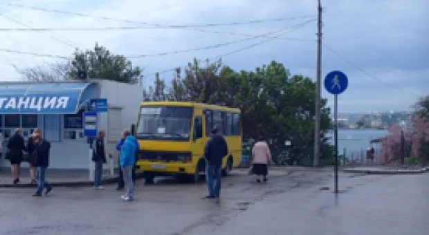 Новости Севастополя - Предлагается ввести штраф за выгул в парках собак без намордников