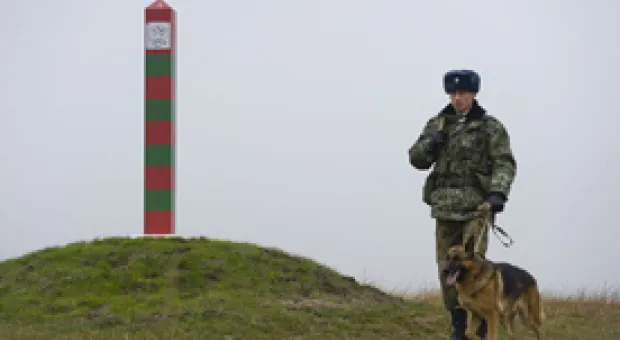 Мировые новости - Немецкие политики приехали в Крым