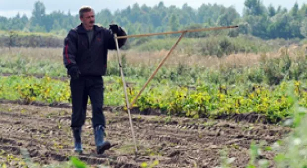 Мировые новости - Бывший директор Центра современного искусства задержан в Москве
