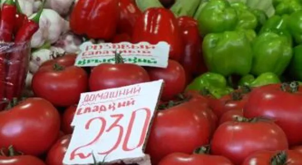 Новости Севастополя - Херсонес и Панорама должны быть включены в перечень отдельных объектов культнаследия федерального значения – поручение Медведева