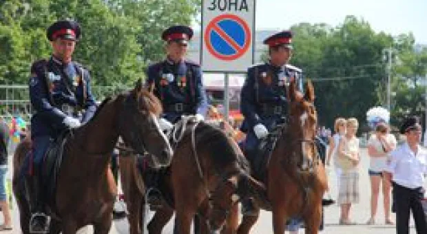 Новости Севастополя - Севастопольские депутаты спешат внести изменения в закон о поддержке многодетных семей