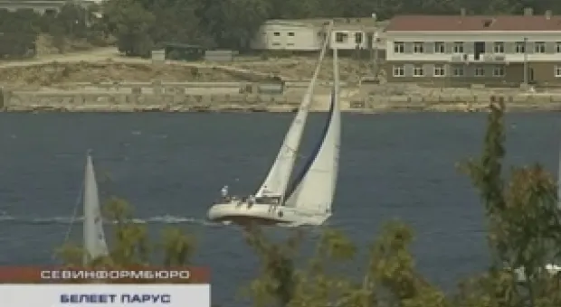 Новости Севастополя - СМИ: радикалы принесли гроб к консульству России в Харькове