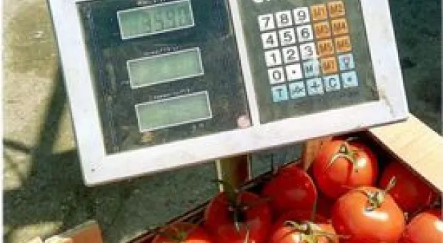 Новости Севастополя - 