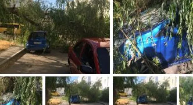 Новости Севастополя - В Ушаковой балке пройдёт юбилейный субботник проекта Sevsvalki.net