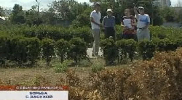 Новости Севастополя - Кому террорист, кому беженец: что известно о главном подозреваемом в терактах в Стамбуле