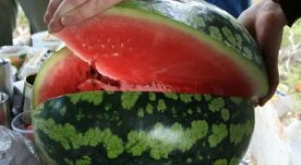 Новости Севастополя - В Севастополе создали ещё один совет при губернаторе – теперь промышленный