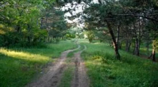 Новости Севастополя - Полезно ли солнце при псориазе?
