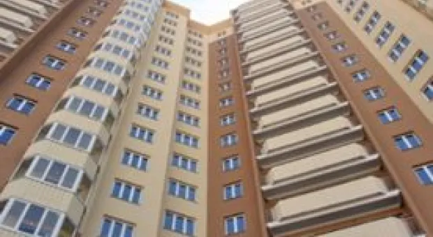 Новости Севастополя - Севастопольцы чаще всего жалуются на засилье бездомных собак, мусор и плохие пляжи