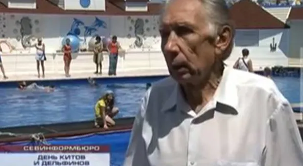 Новости Севастополя - В Севастополе начнут разводить рыбу