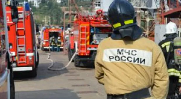 Новости Севастополя - В Киеве запустили прямую линию для доносов на жителей Донбасса