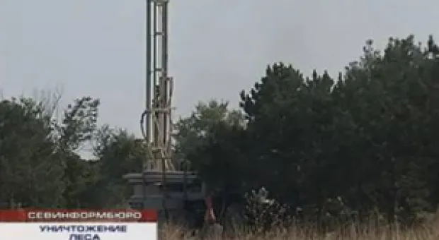 В Севастополе протестуют против вырубки лесного массива в Лабораторной балке