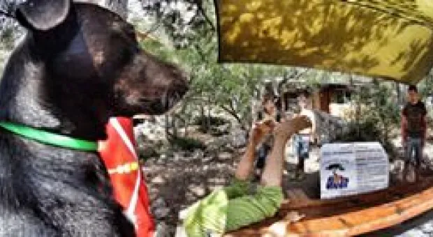 Новости Севастополя - Овсянников воспринял орден «За заслуги перед Отечеством» с добрым удивлением