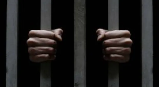 Новости Севастополя - Овсянников ищет землю под авторское виноделие и поддерживает «промышленников»