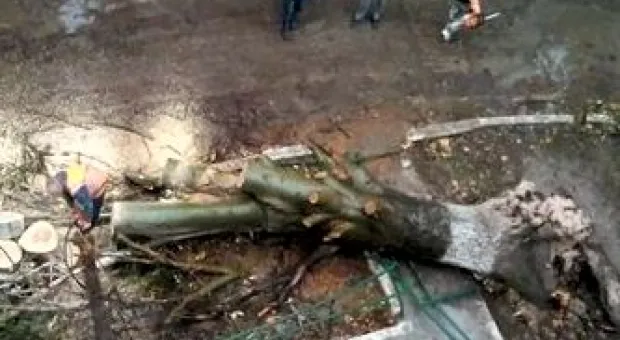Новости Севастополя - На "ничьей" территории возле детского сада в Севастополе выросла свалка