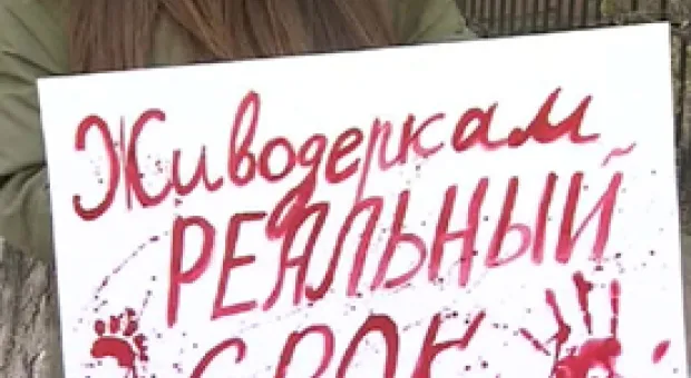 Мировые новости - Парк у пляжа «Учкуевка» разделят на многофункциональные зоны