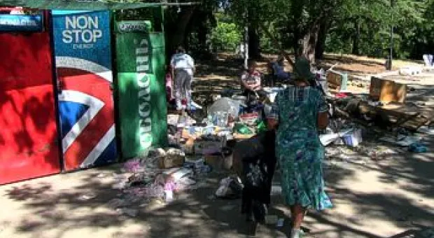 Новости Севастополя - Нет денег? Севастопольский дельфинарий продал белуху Василису за 2 миллиона