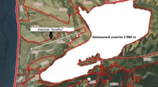 Новости Севастополя - В букмекерских конторах выросли ставки на Трампа