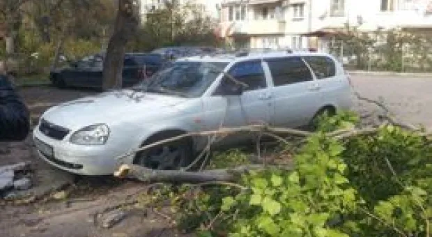Новости Севастополя - «Революционной ситуации нет», - признали коммунисты на митинге в Севастополе
