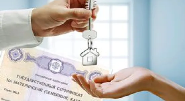 Новости Севастополя - С бывшего "Хрюкинского рынка" в Севастополе пытались выгнать "повелителей мух"