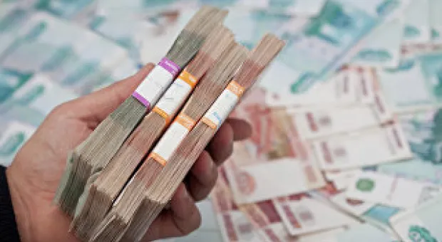 Мировые новости - 600 собак за 30 дней: в Севастополе начался отлов дворняг