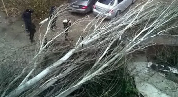 Новости Севастополя - Bild сообщил о переговорах по проведению Евровидения в Москве
