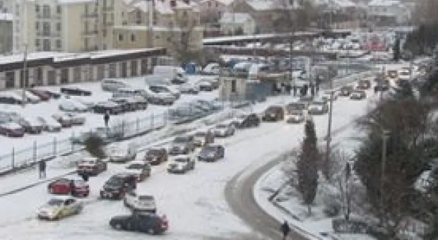 Новости Севастополя - Севастопольские парки превратили в свалки