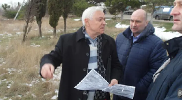 Леса Севастополя тают на глазах