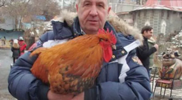 Севсети #137. Депутатская птица удачи, супертроллейбус и поручение Путина