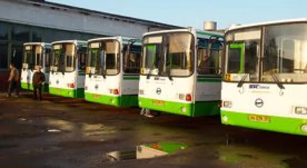 Новости Севастополя - В Севастополе 40 тысяч граждан живут без регистрации