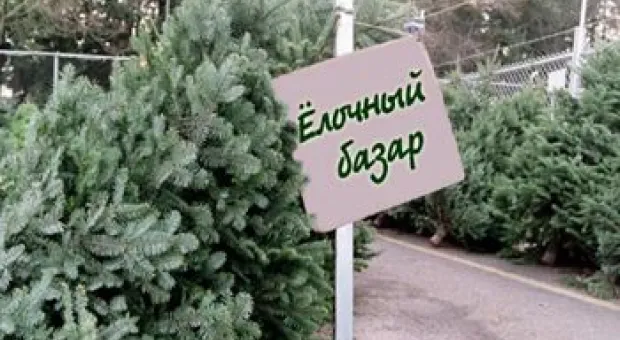 Новости Севастополя - Спустя два месяца крышу многоквартирного дома в Севастополе накрыли металлом