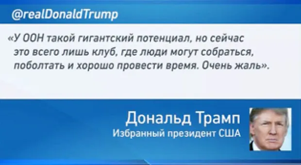 Мировые новости - Ледовый дворец в Севастополе: и снова лёд непонимания