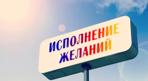 Новости Севастополя - Куда в Севастополе деть новогодние ёлки