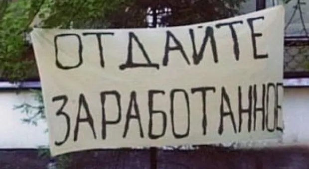 Новости Севастополя - В Севастополе заговорили о новых продажах животных из дельфинария