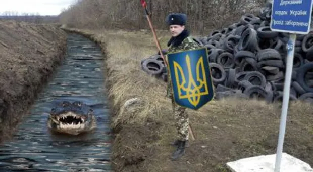 Мировые новости - В Севастополе ищут пути сохранения экологии Чёрного моря