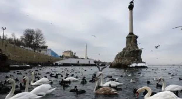 Новости Севастополя - Трамп намерен работать с Россией и Украиной над восстановлением мира