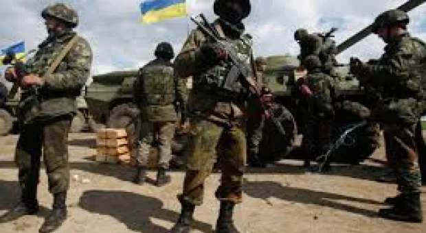 Мировые новости - Криминальна сводка Севастополя: уголовное дело для директора «Севтеплоэнерго» и пьяная поножовщина