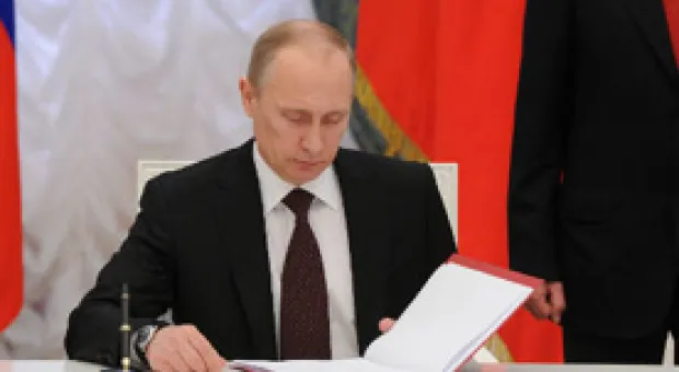 Мировые новости - В Севастополе предупреждают о гибели черноморских дельфинов