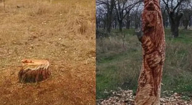 Новости Севастополя - 