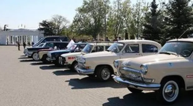 Новости Севастополя - В севастопольском Динопарке открылась первая в этом году фотовыставка под открытым небом