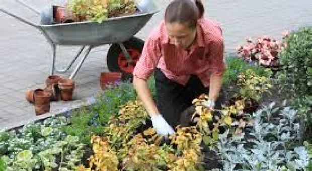 Новости Севастополя - Севастополь признан экологами одним из самых грязных регионов России