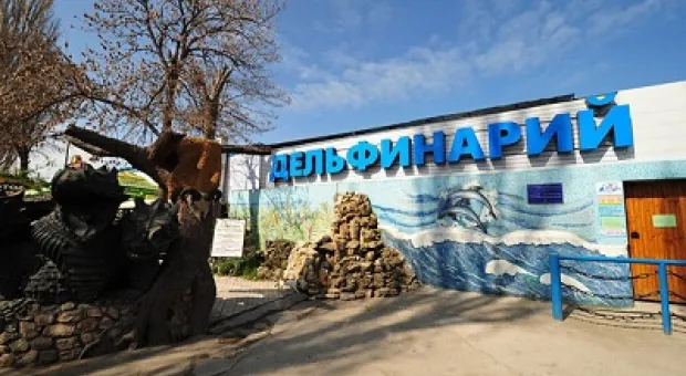 Новости Севастополя - Турция объявила о разрыве дипотношений с Нидерландами