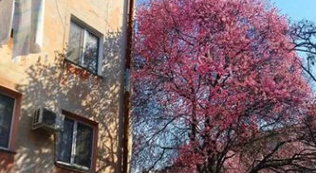 Новости Севастополя - 