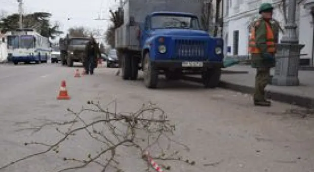 Новости Севастополя - "Дежурный по Севастополю": город мусора федерального значения