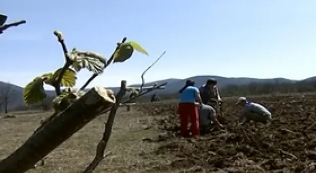 Новости Севастополя - Общественная палата России пока живёт без Севастополя