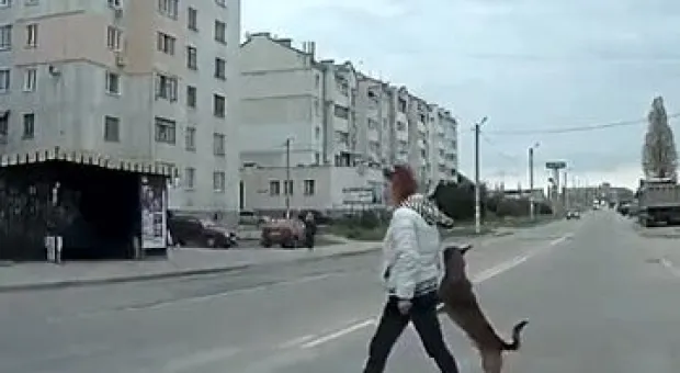 Новости Севастополя - Суды прекратили танцы в лабораторном корпусе Морского гидрофизического института