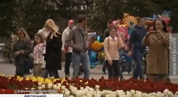 Новости Севастополя - Севастополь – худший по экоэффективности, но лучший – по природным территориям