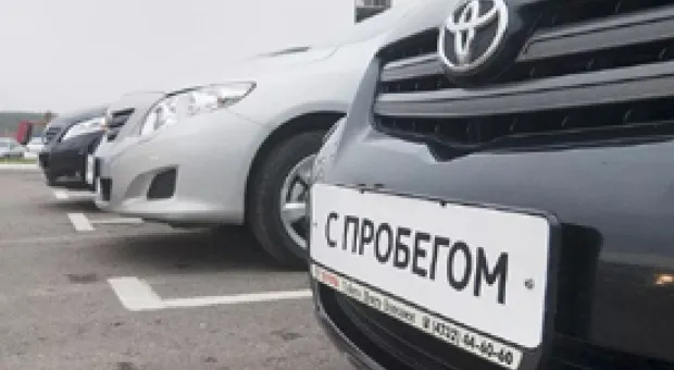 Мировые новости - Для украшения севастопольских улиц купят четверть миллиона цветов