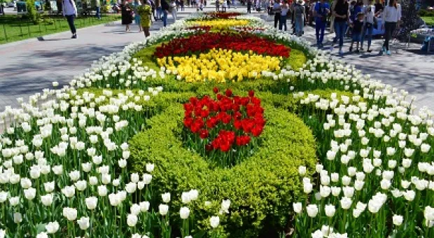 Новости Севастополя - Куда пойти в Севастополе 2 мая: спасение Пушкина и весенняя йога