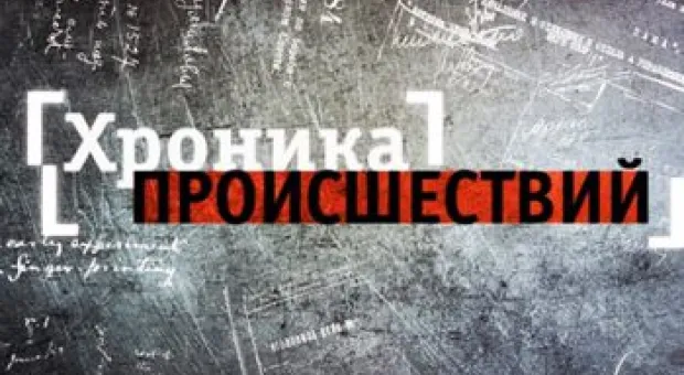 Новости Севастополя - Куда пойти в Севастополе 3 мая: танец памяти и западня для симпатяги