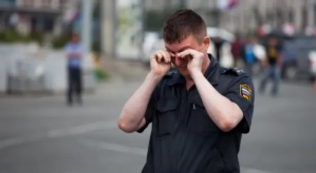 Новости Севастополя - В Севастополе распределили золотых витязей